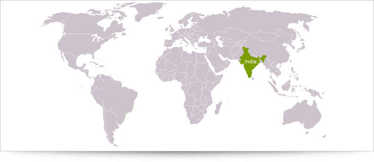 Renuka Sugars in India and Brazil