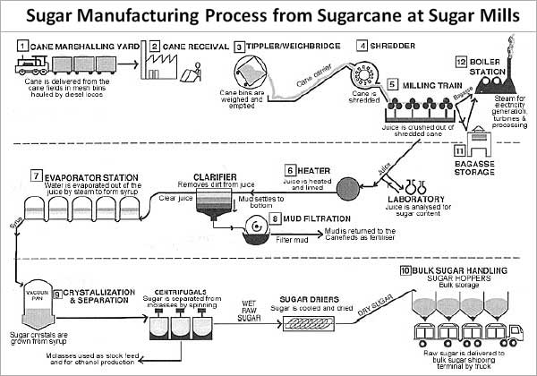 Sugar Manufacturing Process from Sugarcane at Sugar Mills